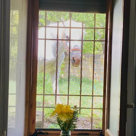 Casa de Férias Casa Prada En Sanabria *