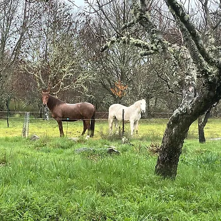 Nyaraló Casa Prada En Sanabria Sotillo de Sanabria