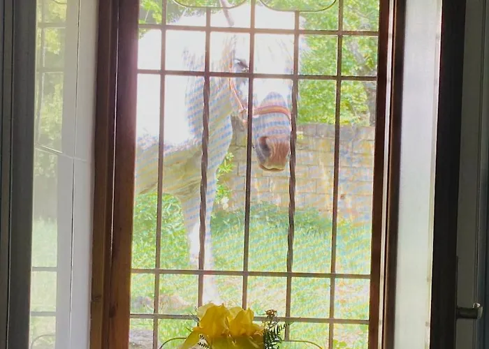 Сasa de vacaciones Casa Prada En Sanabria *