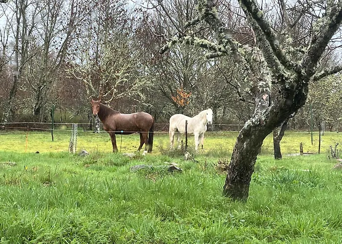 Сasa de vacaciones Casa Prada En Sanabria Sotillo de Sanabria